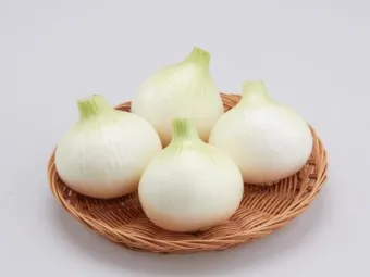 양파 수확시기_17