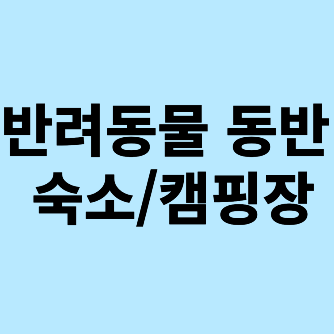 반려동물 강아지 동반 캠핑 야영지 숙소 호텔