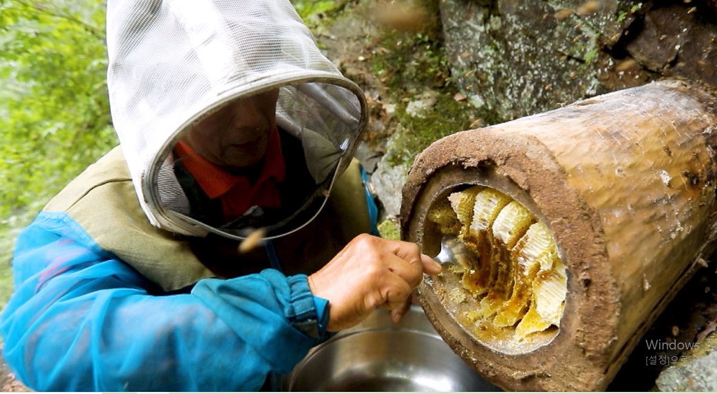 한국기행-토종꿀-강원도-삼척-이건영-주문-택배