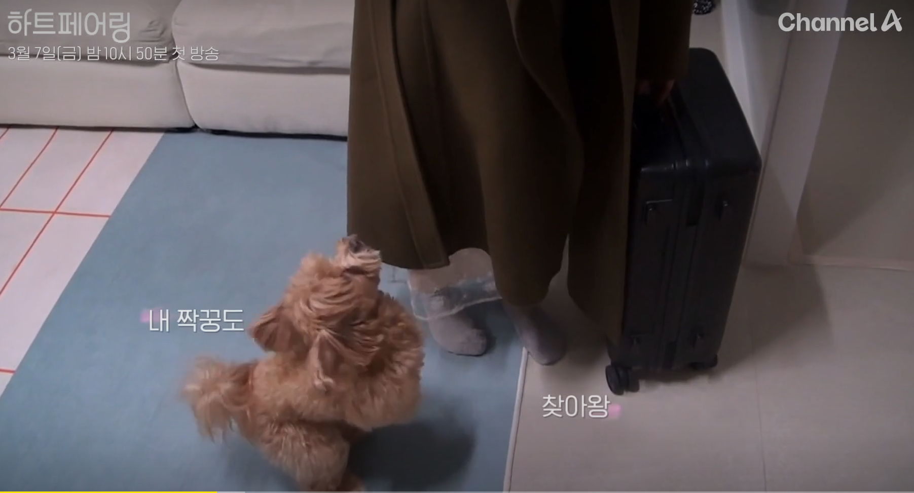 하트페어링 프로그램 소개