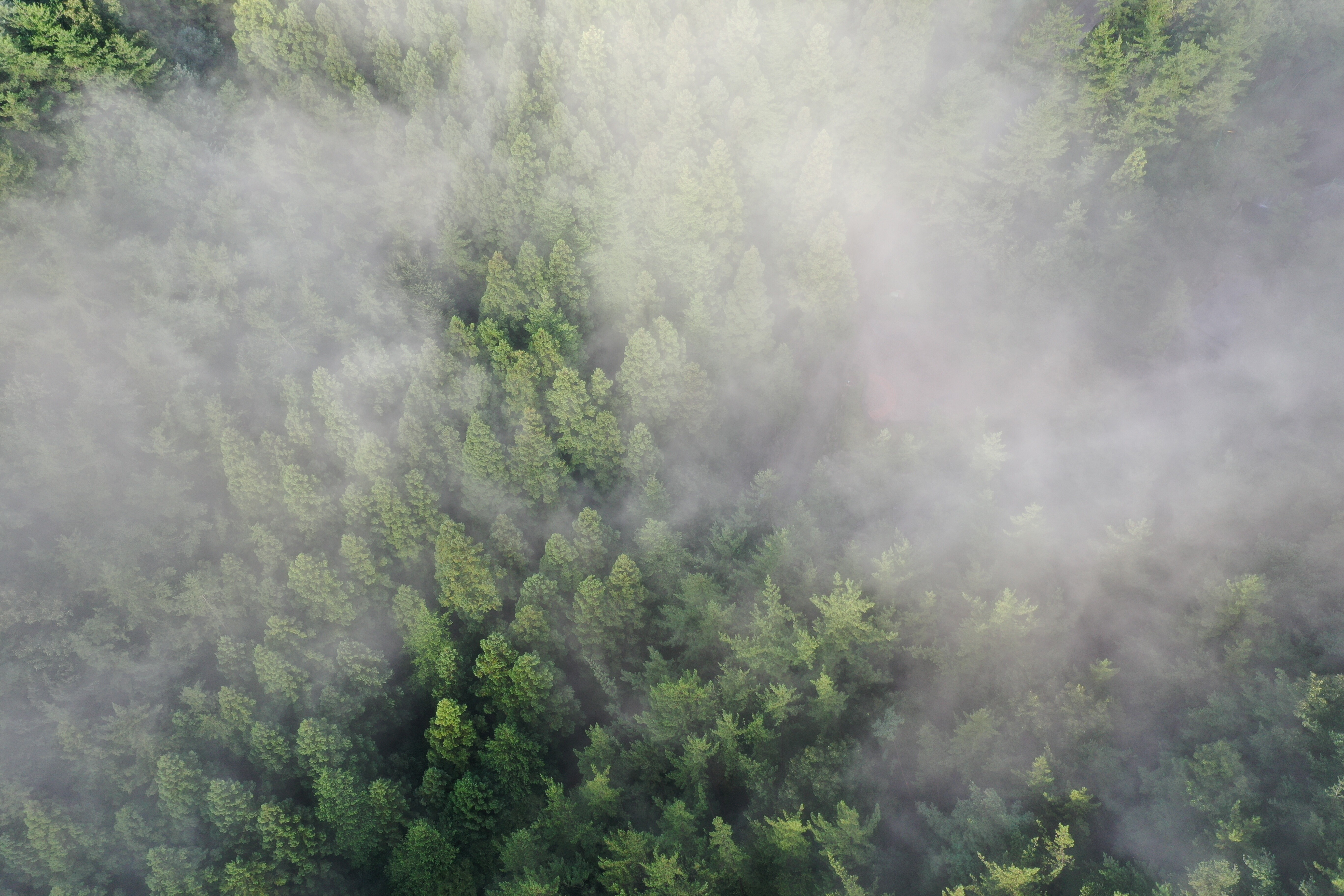 광양-백운산자연휴양림-예약