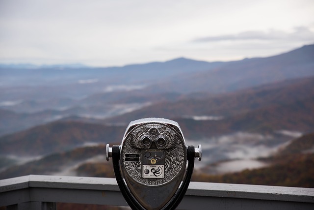 pdf 뷰어 다운로드 어도비