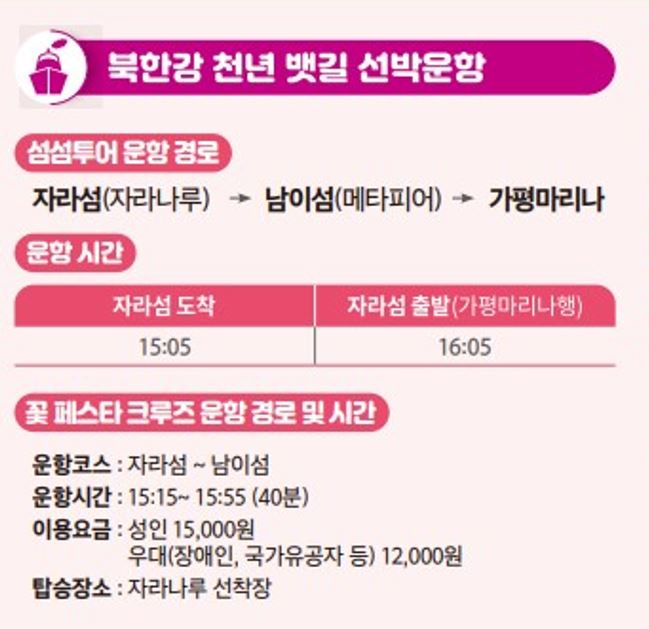 가평 자라섬 꽃축제 꽃 페스타