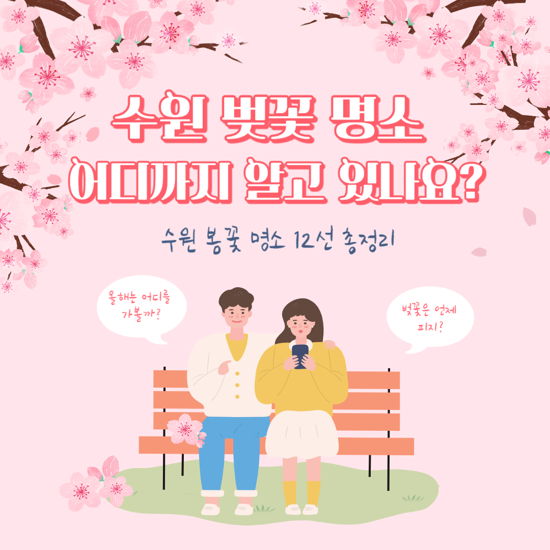 수원 벚꽃