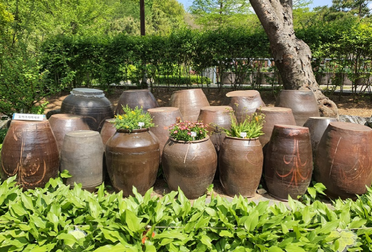 부천 자연생태공원