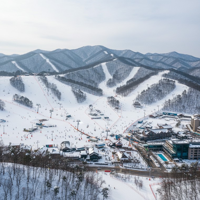 2025-2026 스키장 개장일