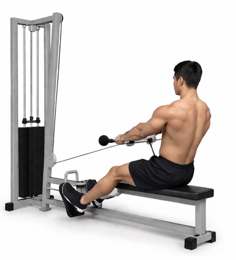 시티드 케이블 로우 시작 자세