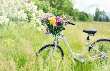 봄철 입맛 살리는 제철 밑반찬 4가지