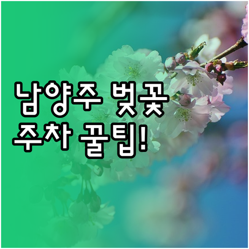 남양주 벚꽃 축제 주차 전략과 202..