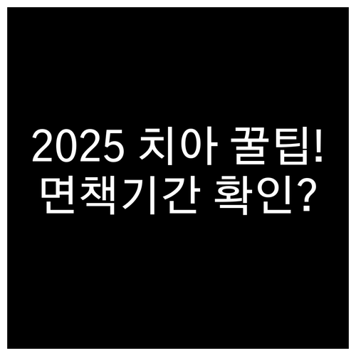 치아보험 핵심 보장 비교 2025 크..