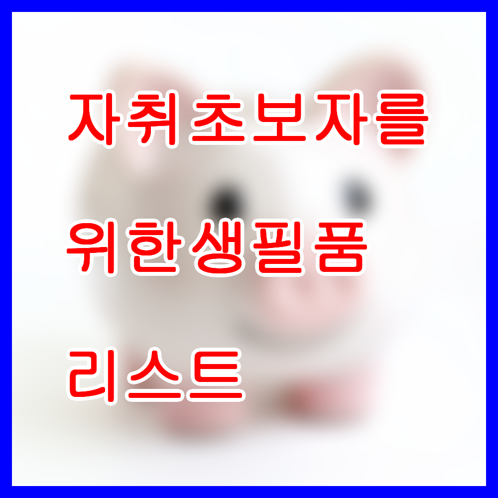 자취 초보자를 위한 생필품 리스트