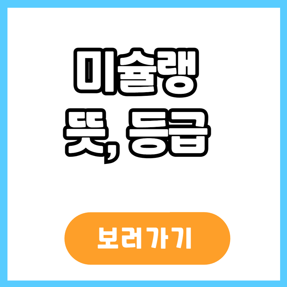 미슐랭 뜻