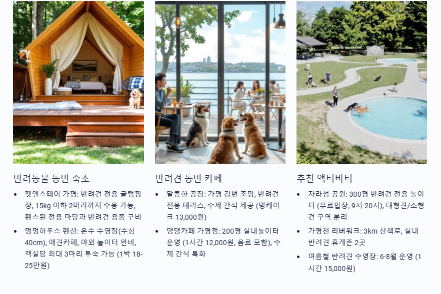 반려동물 동반 숙소 동반카페 추천 액티비티