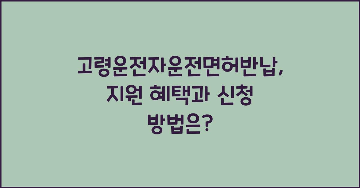 고령운전자운전면허반납