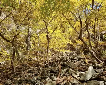 지리산 국립공원_18