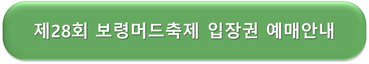 보령머드축제 입장권 안내