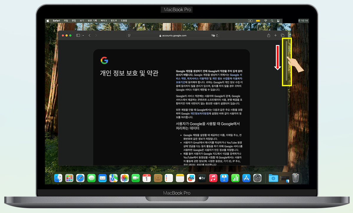 Google 약관에 동의하세요.