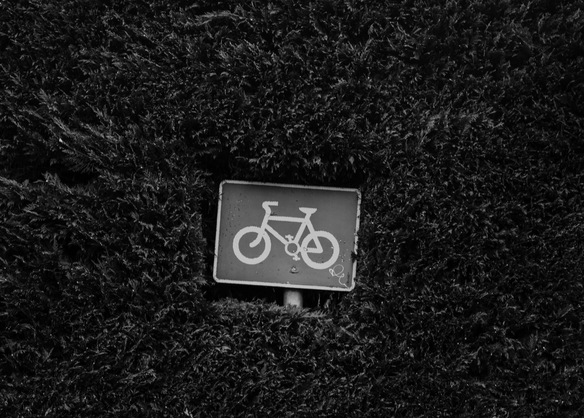 지역별 공공 자전거