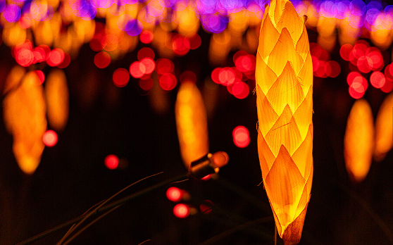 제주 민속촌 벨섬 입장료 할인