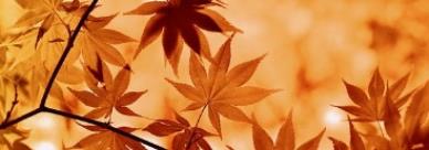 서울단풍명소 추천