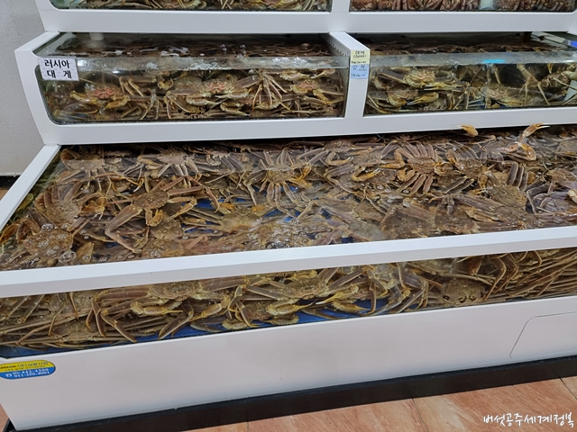 속초 대게 맛집 속초게찜 본점&#44; 속초 갈 때마다 방문하는 추천 맛집