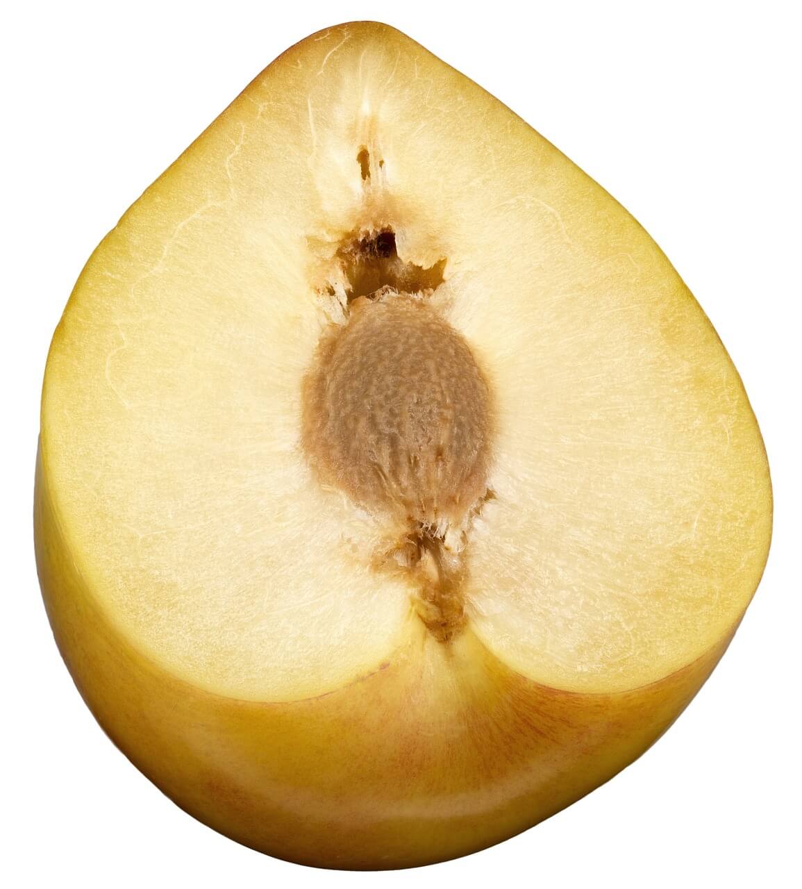 매실청 숙성기간