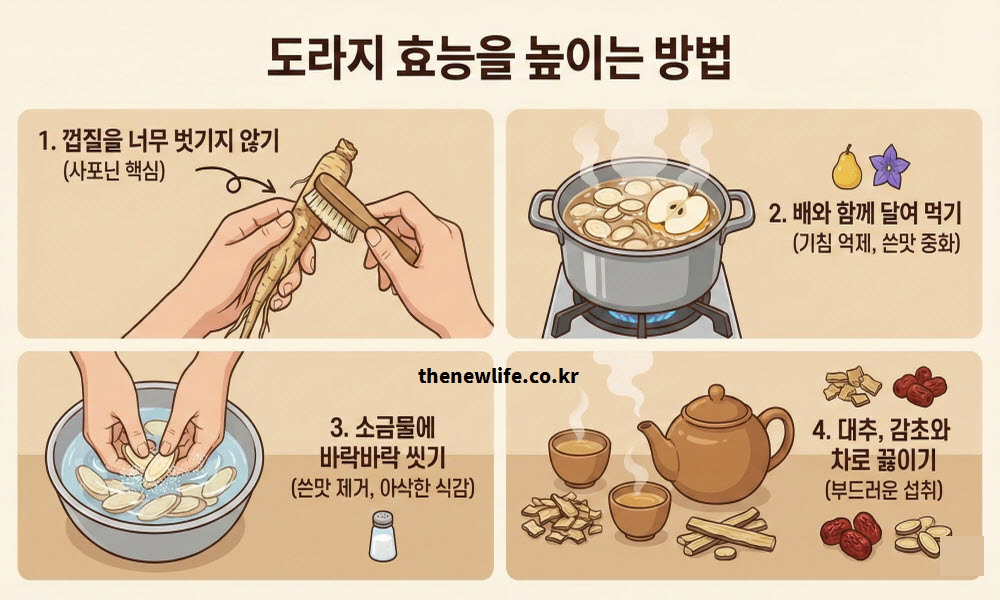도라지 효능을 높이는 다양한 섭취법과 조리법을 안내하는 이미지