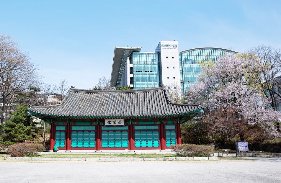 한국 대학 순위