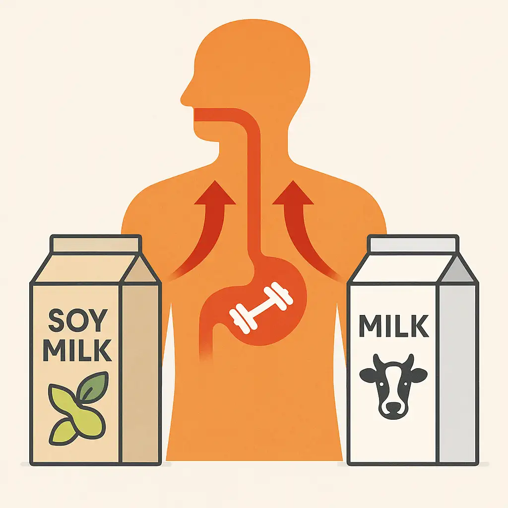 두유와-우유의-단백질-흡수율을-비교하는-인포그래픽으로-사람의-신체-속에서-단백질이-흡수되는-과정을-상징적으로-표현한-이미지