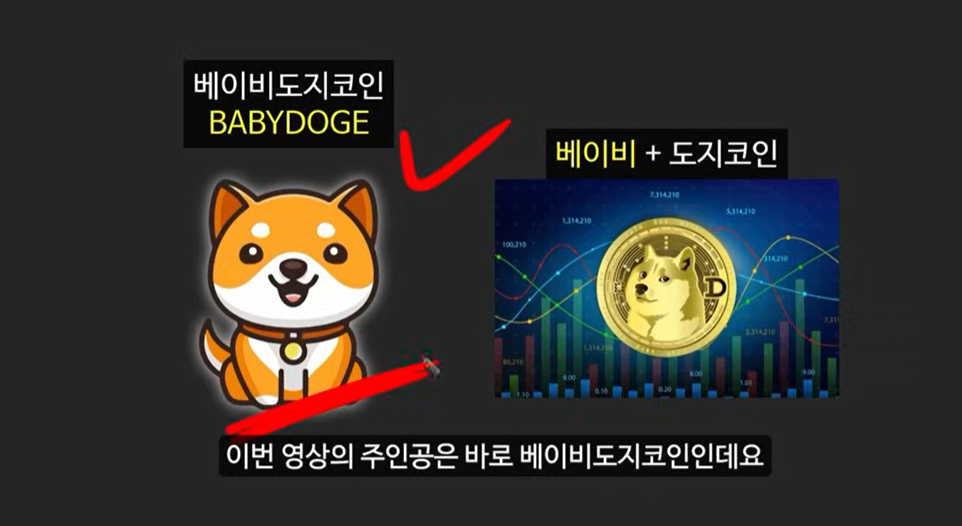 일론 머스크가 주목한 베이비 도지 코인, 급등 가능성은?