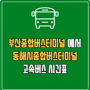 부산종합버스터미널에서 동해시종합버스터미널 고속버스 시간표 요금 예매