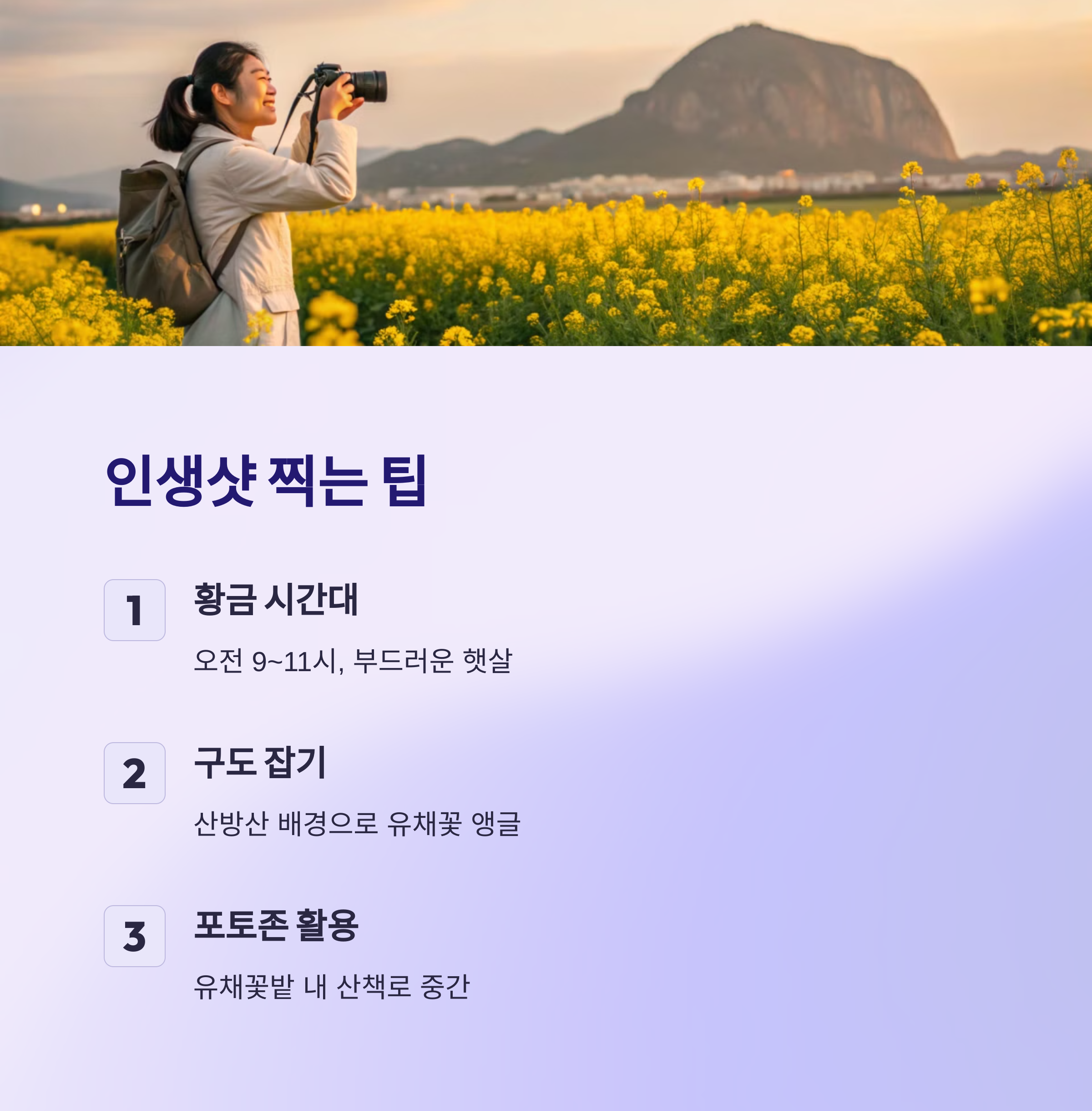 산방산 유채꽃 포인트