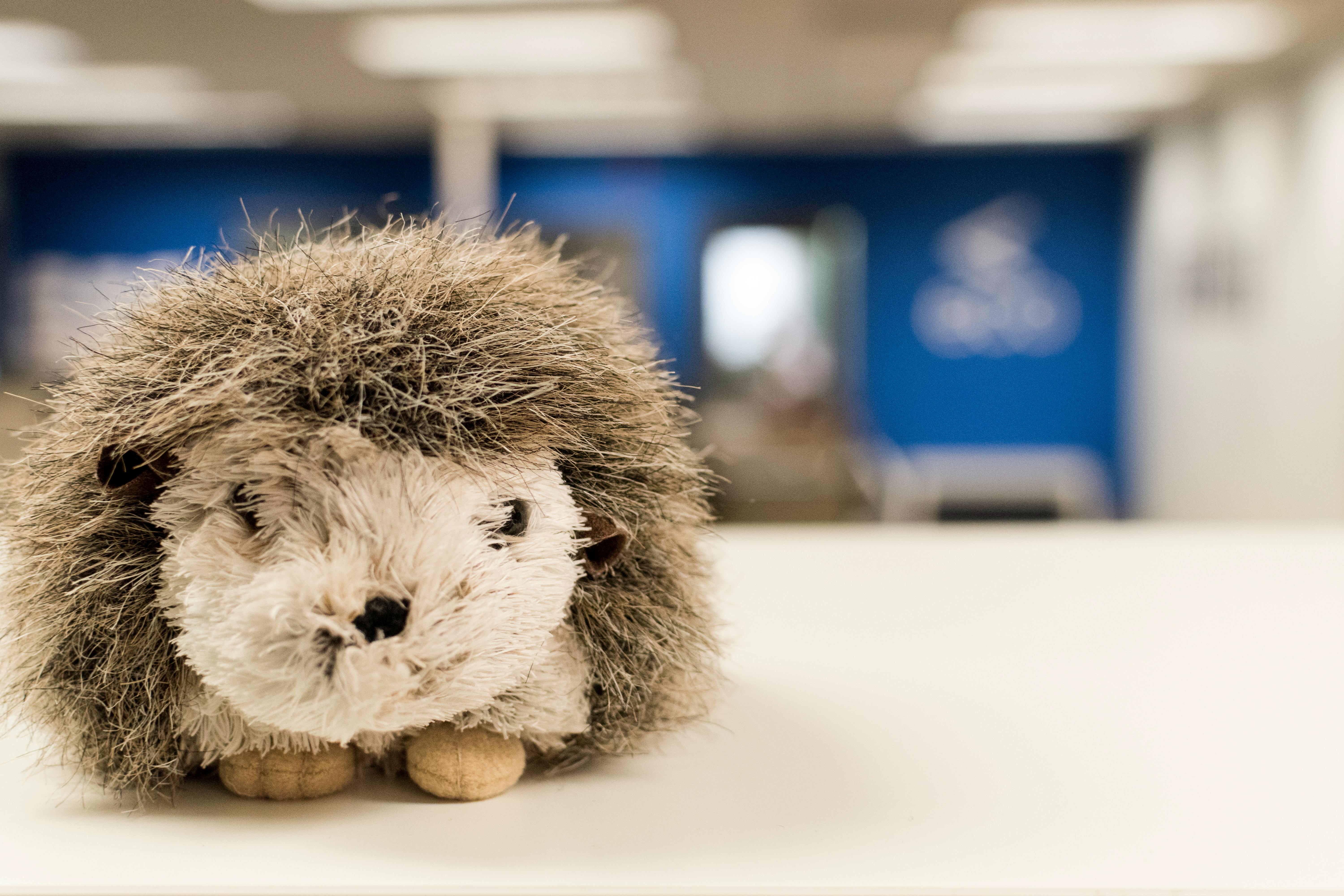 2025년 IBK기업은행 영세소상공인 자녀 교육물품비 지원