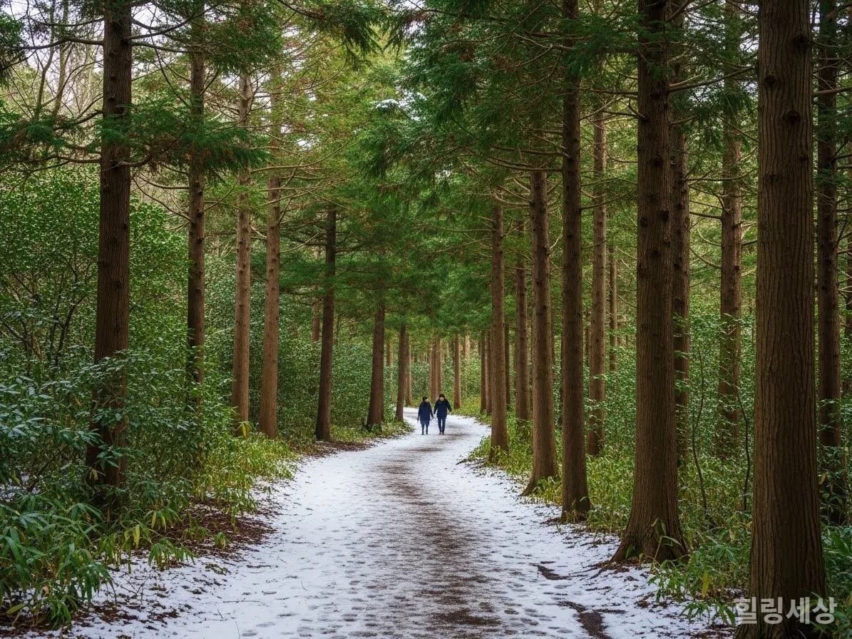 담양 죽녹원의 대나무 숲과 한옥의 조화