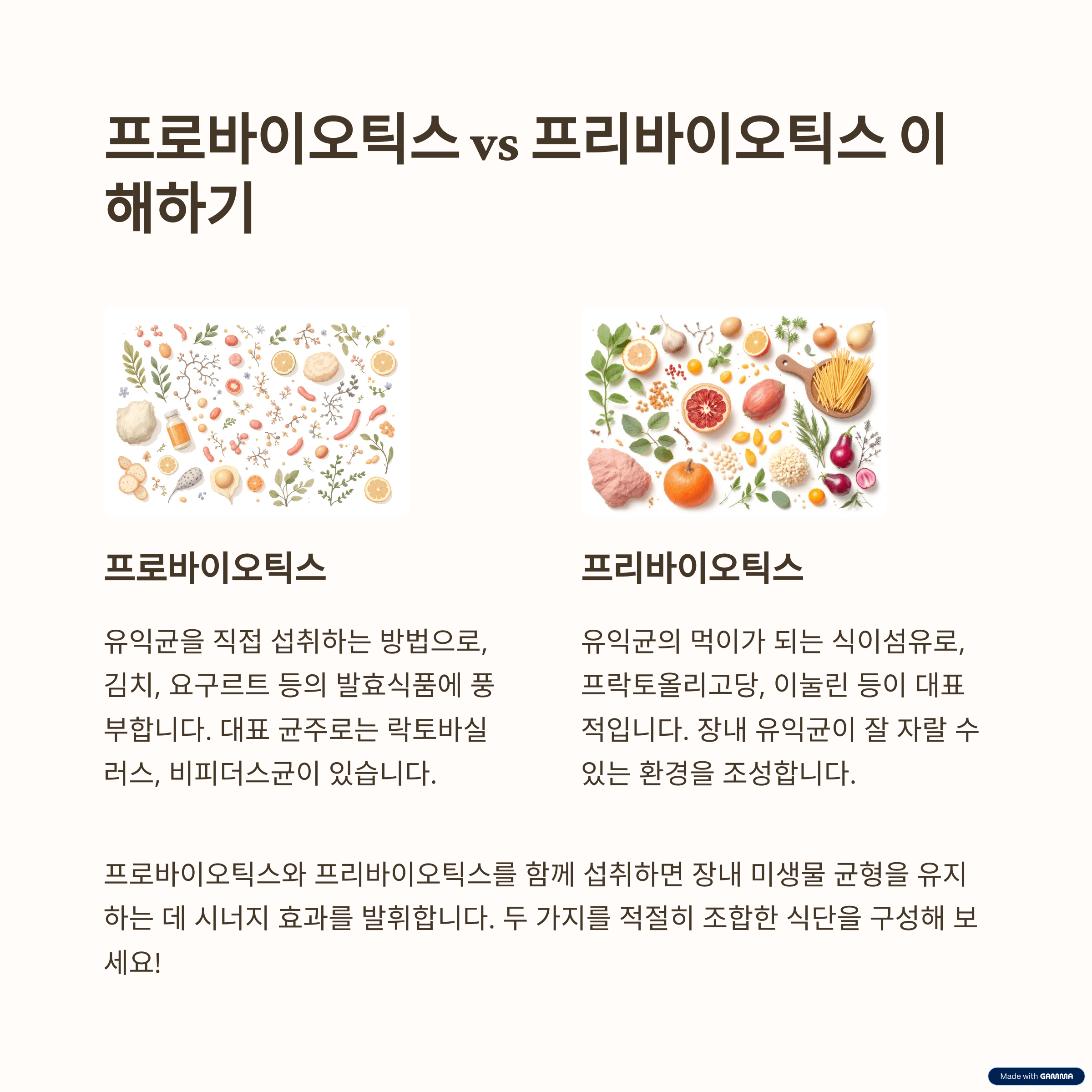 프로바이오틱스 vs 프리바이오틱스: 장내 미생물 관리의 핵심