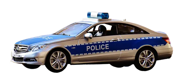 과태료 종류 조회 납부 확인방법 총정리