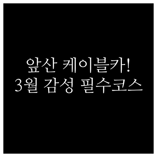 앞산 케이블카와 카페거리로 떠나는 대..