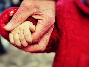 입양 조건 절차 확인하기