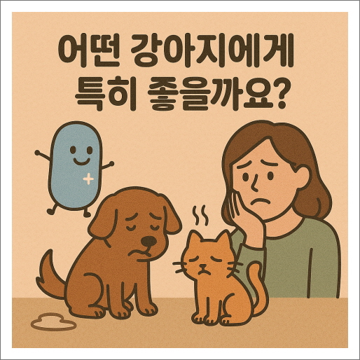 어떤 강아지에게 특히 좋을까요?