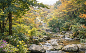 화담숲 예약방법 총정리