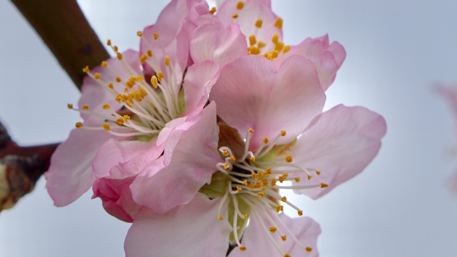 기후 변화 완화를 위한 탄소 격리의 역할