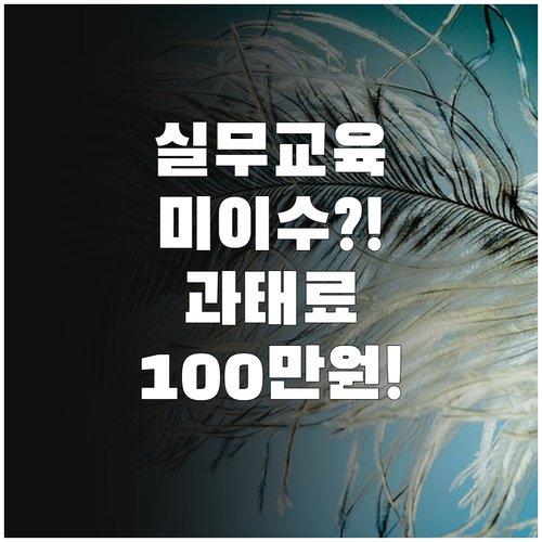 소방안전관리자 실무교육 미이수 과태료..