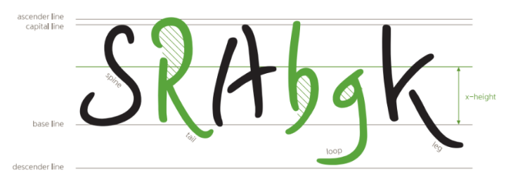 잉크립퀘드체의 특징 2