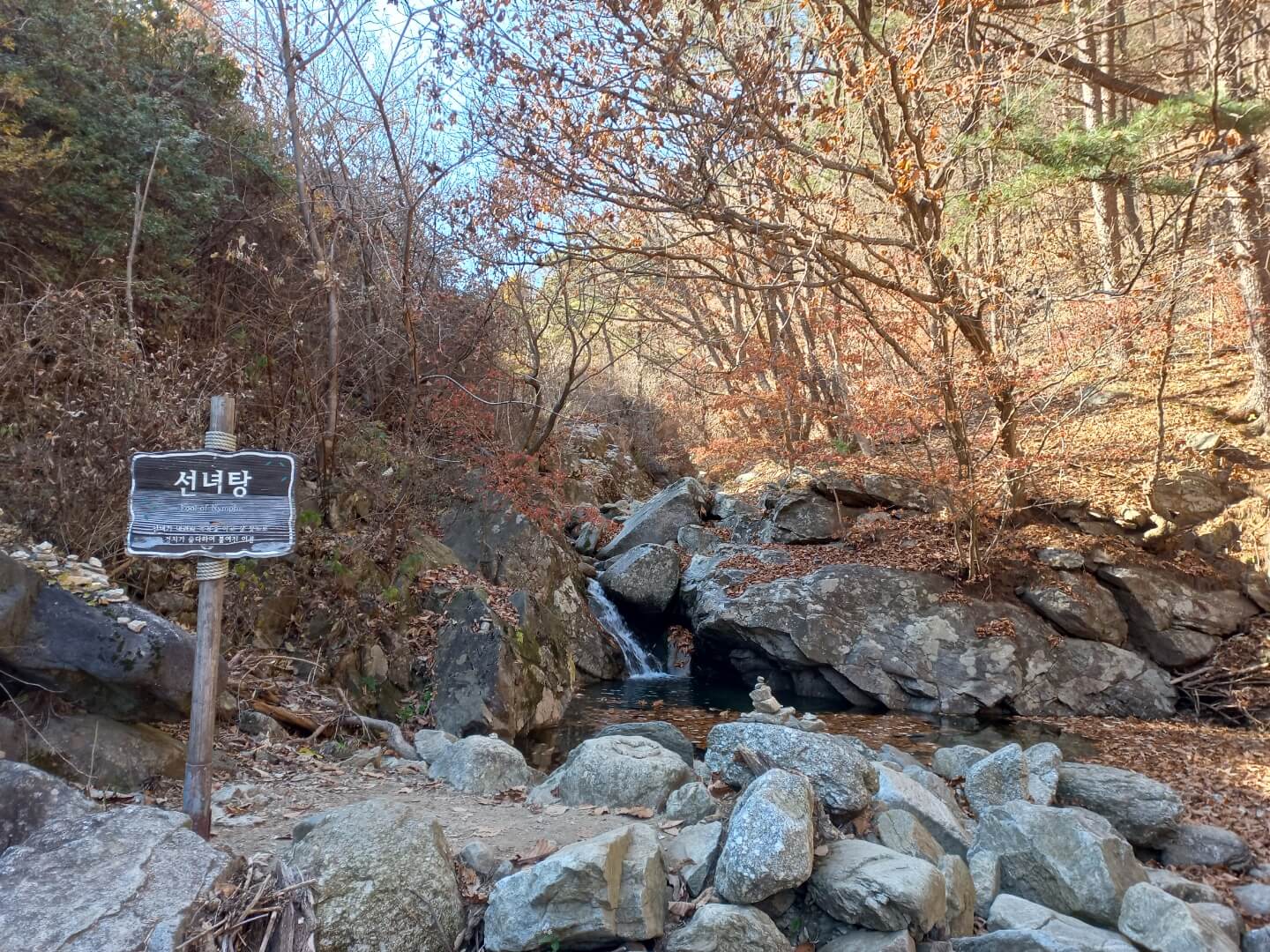 가평 아침고요수목원 