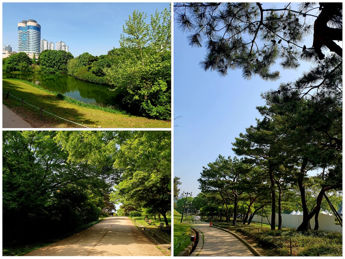 공원-걷기는-건강에도-많은-도움이-됩니다.