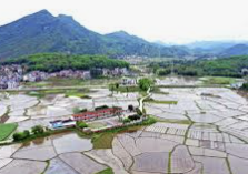 ENFJ 유형 특징 분석