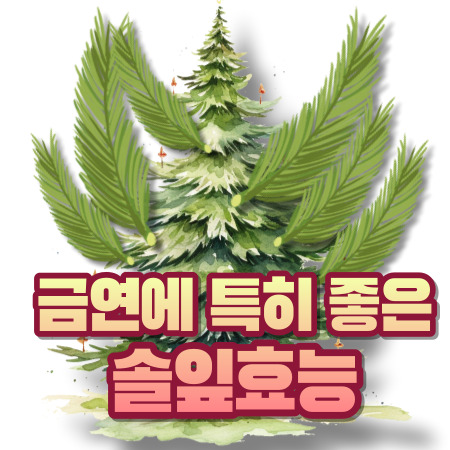 솔잎효능