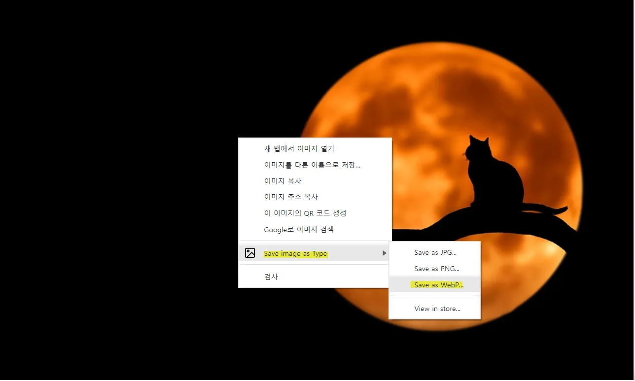 webp 사진 저장 방법 사진