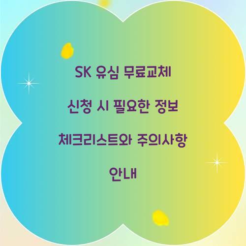 SK 유심 무료교체 신청 시 필요한 정보 체크리스트