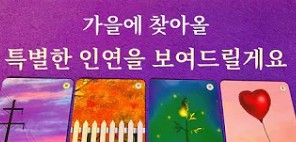 타로 맛집 정회도 타로라떼